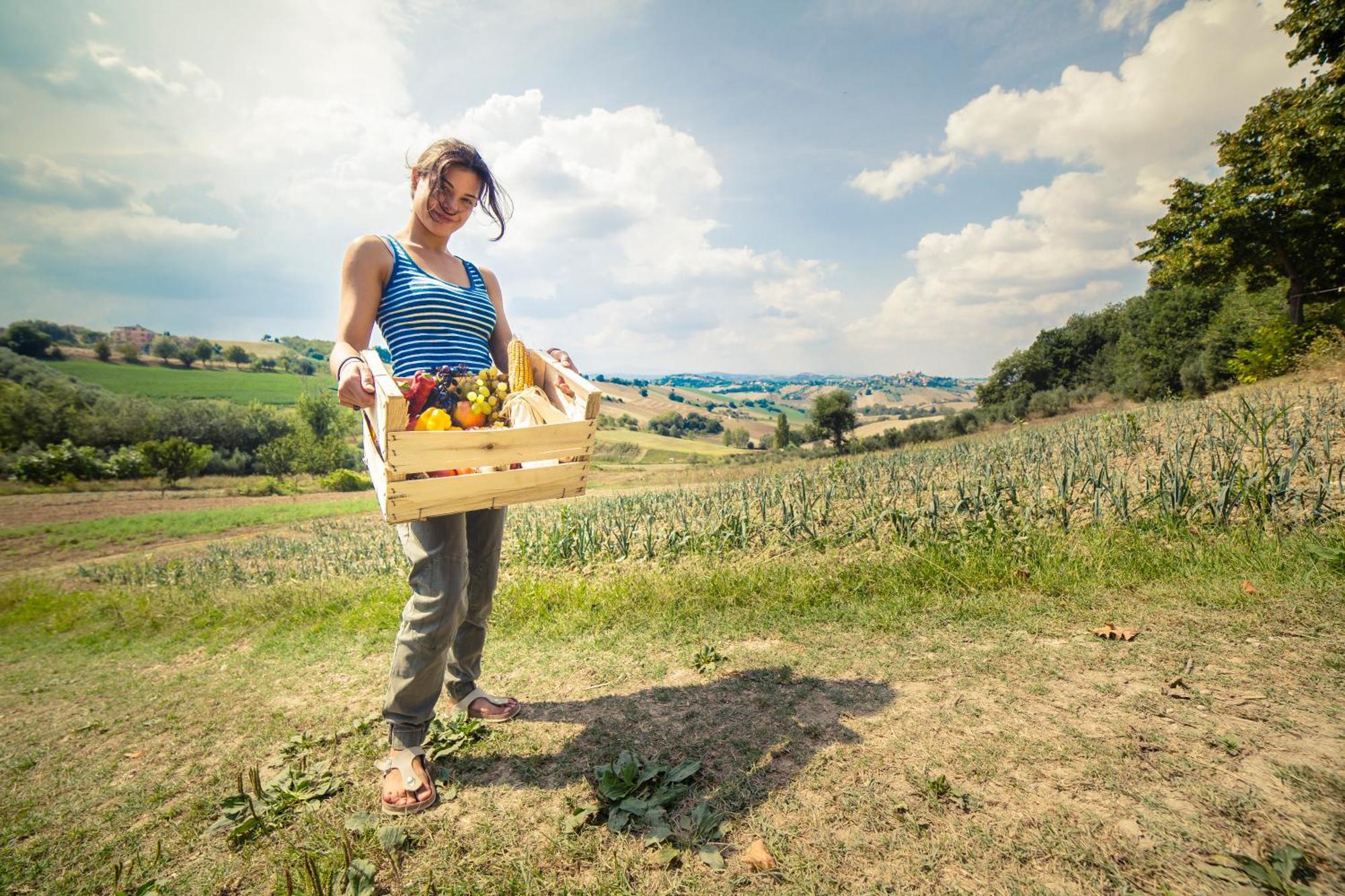 Agriturismo Fonte Carella Monte San Pietrangeli Exteriör bild